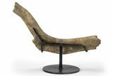 Partial Triceratops Rib with Metal Stand - Wyoming #227729-1